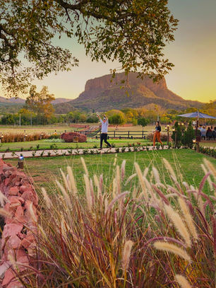 LUXO REGIONAL - UMA HISTÓRIA DE VINHOS NO CORAÇÃO DO PANTANAL