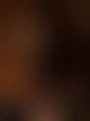 O POLO BEAR TOMA CONTA DAS TELAS: RALPH LAUREN LANÇA SEU PRIMEIRO CURTA-METRAGEM ANIMADO