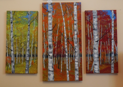 Birch Tree Triptych