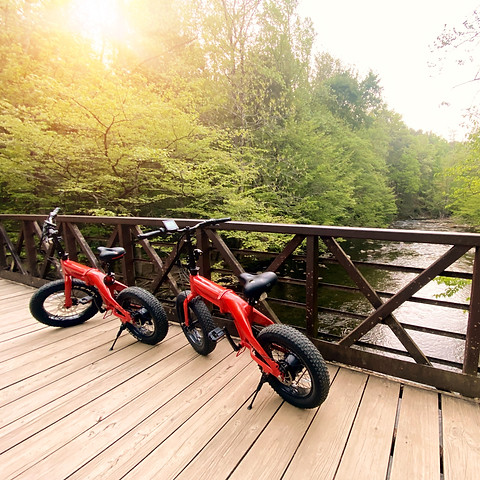SONDORS EBIKE RENTAL MICHIGAN