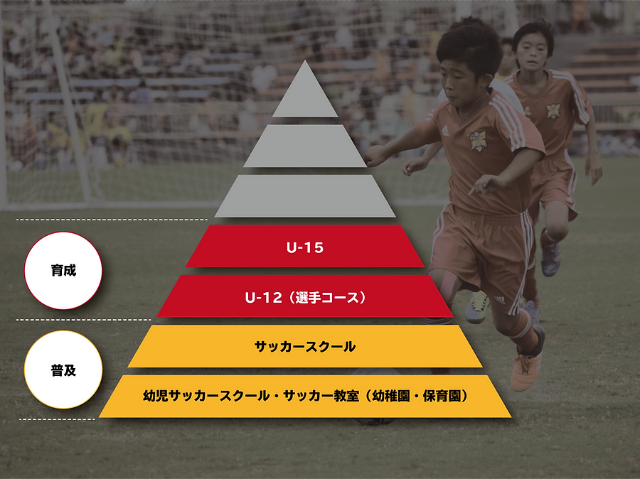クラブ概要 Fc Farfalla 公式hp クラブ概要 Fc Farfalla 公式hp