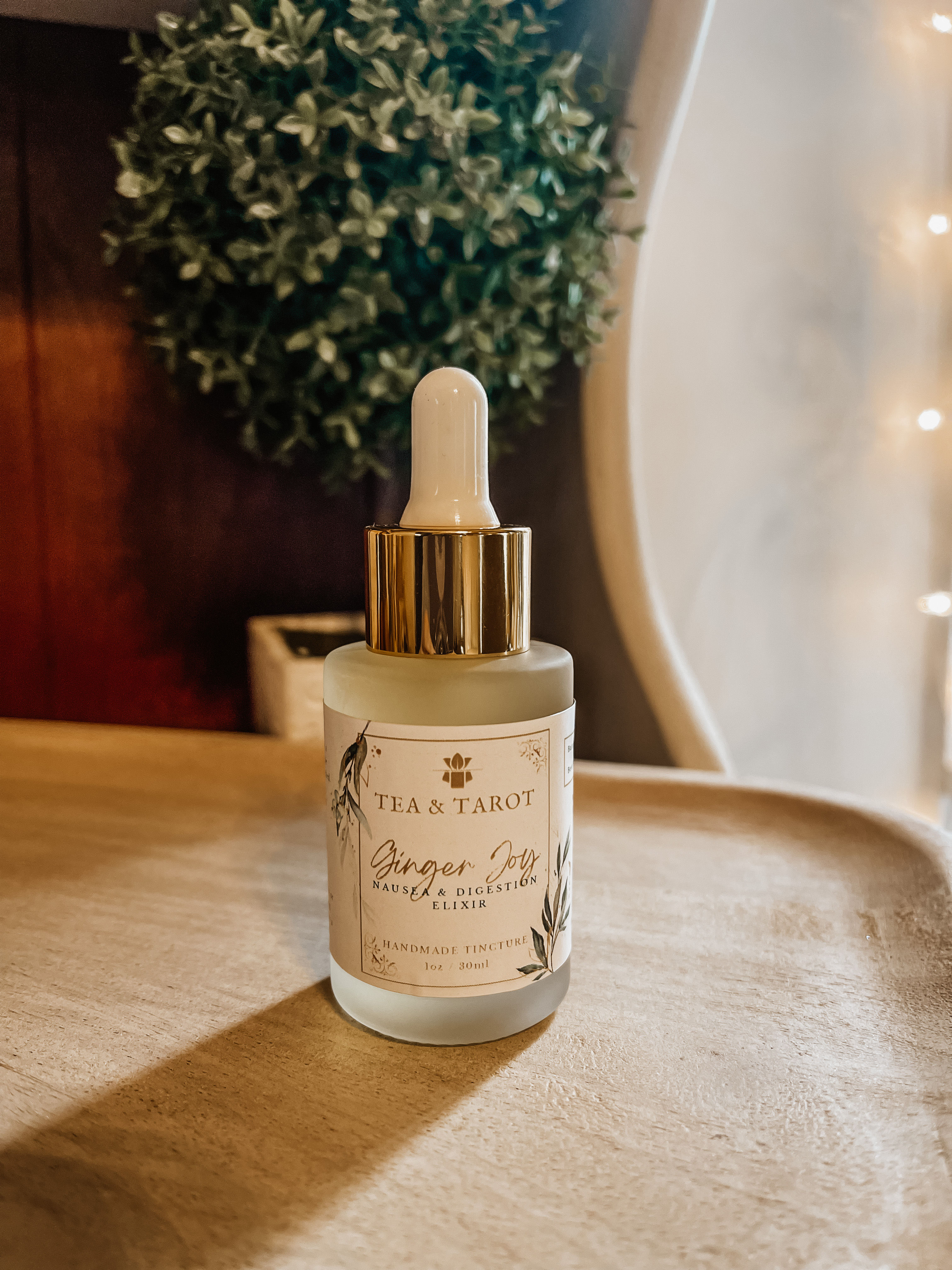 Ginger Joy Elixir: Digestion & Nausea Aid