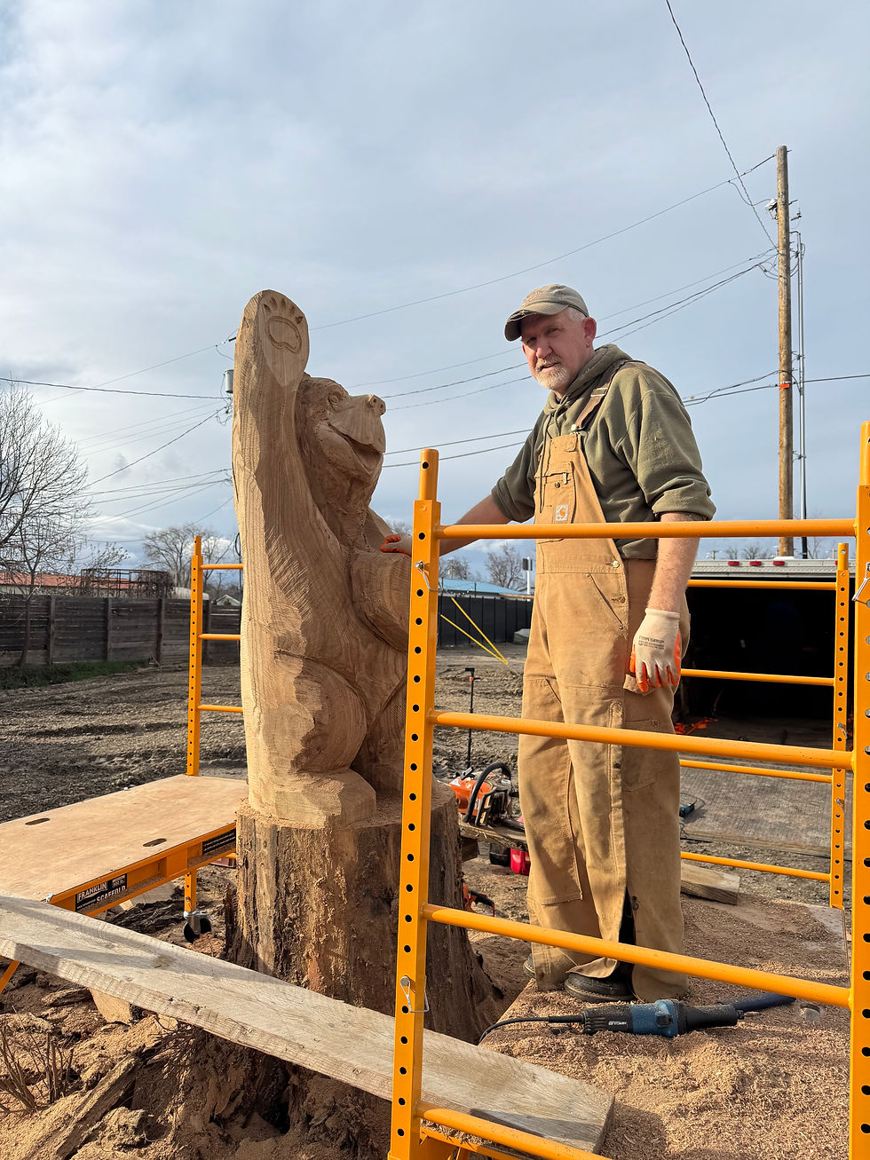 The bear is taking shape