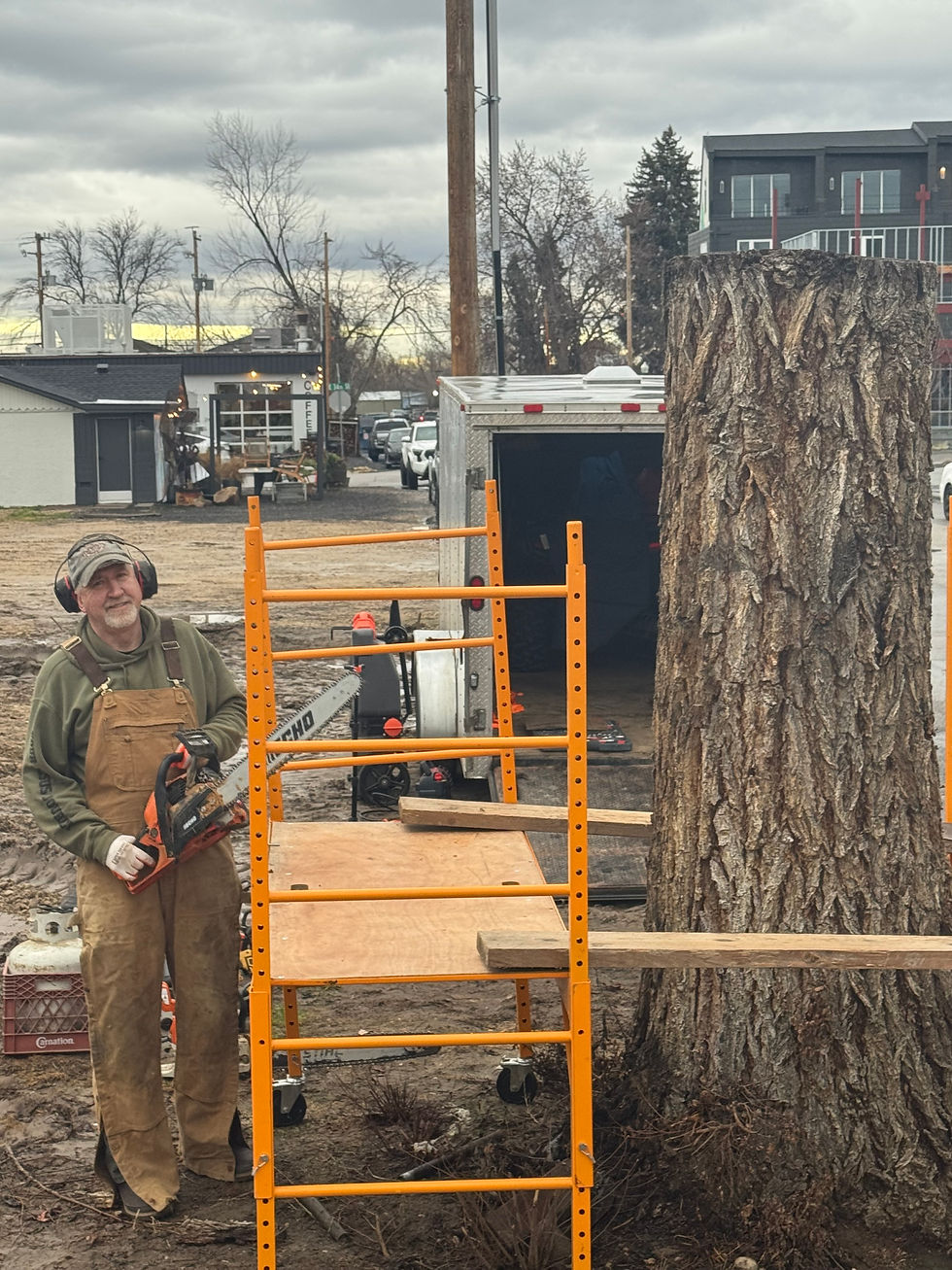 Chainsaws are warming up