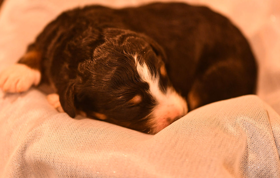 white2karen1wk