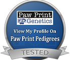 ava genetic testing paw.png