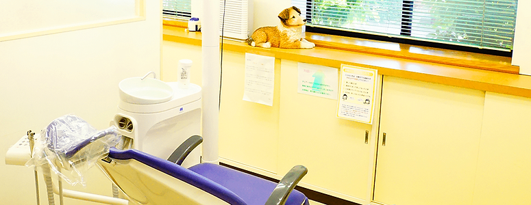 てらしま歯科photo