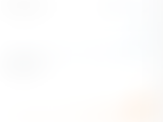 LAW FIRM'S SEO CASE STUDY