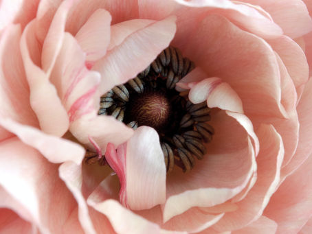 7 Tips For Planning A Celebration Of Life