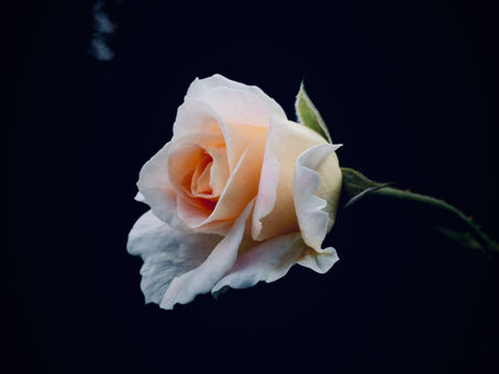 Planning Ahead For Your Own Funeral