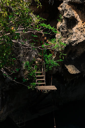 CENOTE-47.jpg