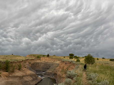 Color photo of stormy clouds above a ravine in New Mexico