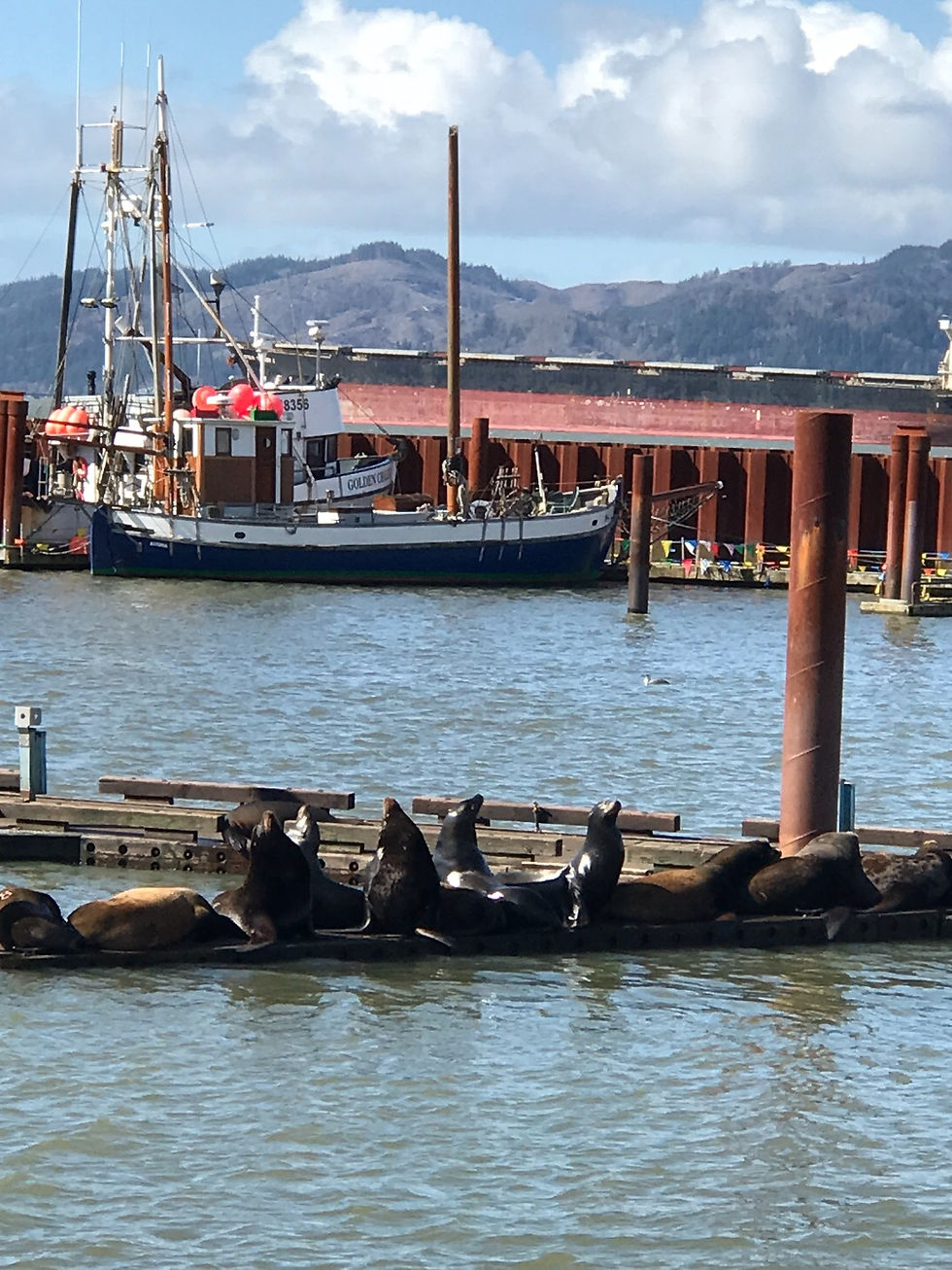 Astoria Oregon in the sunshine