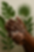 Handwashing graphic with sudsy hands, set against a vibrant backdrop of tropical plants, emphasizing cleanliness and care at
