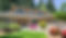 12504 40th Avenue SE, Everett, WA 98208