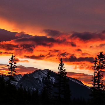 Screenshot 2025-07-08 at 2.04.36 PM.png