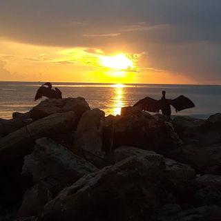 Casa Limonada sunset