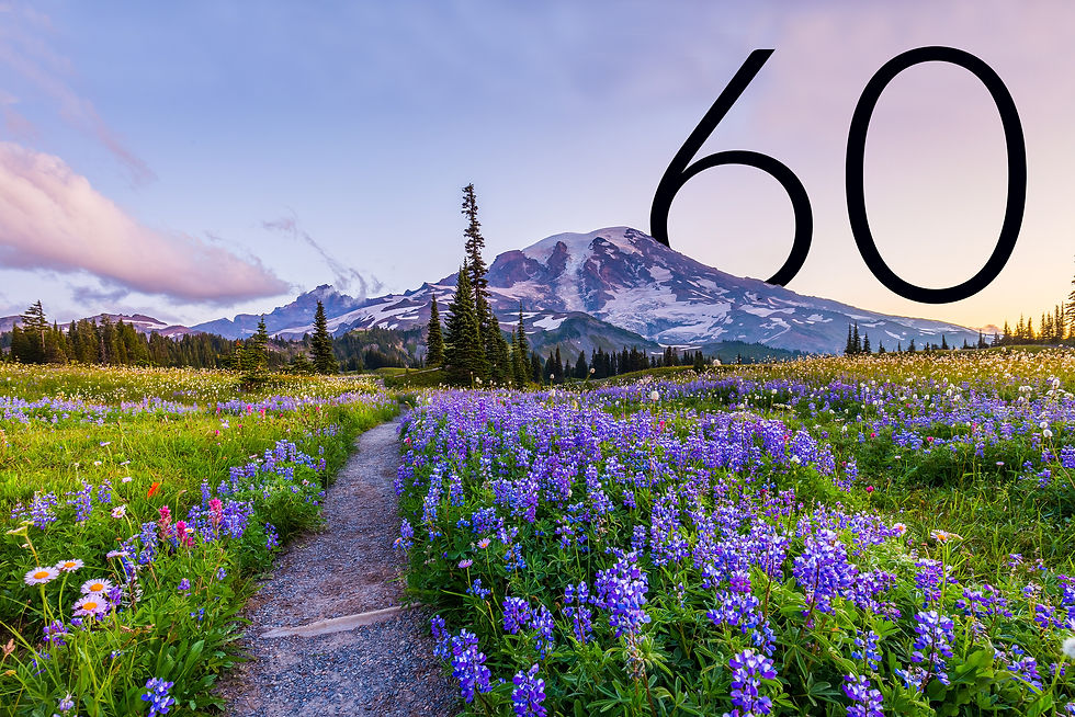 My Silver Linings Life After 60 Blog title photo with lavender field