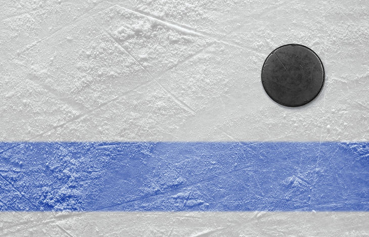 puck_edited.jpg