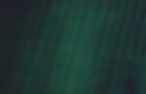 bamboo background