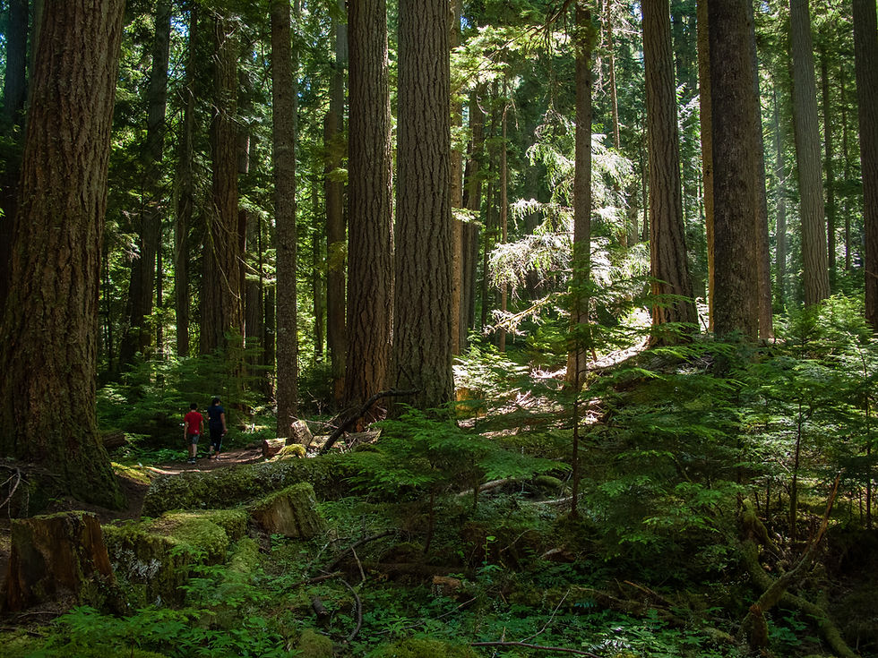 JF Morgan retouching, photo editing services near me, digital photography, jewelry photographer, great photography projects