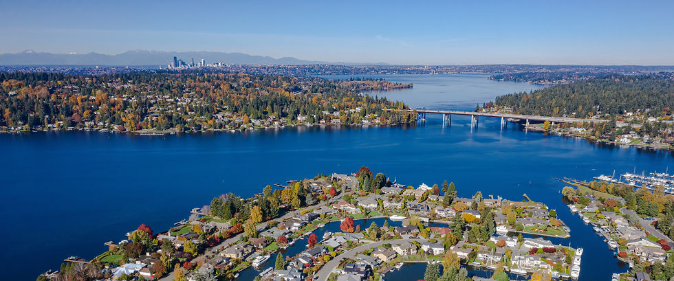 Kim's New SASH Realty Page Banner.jpg