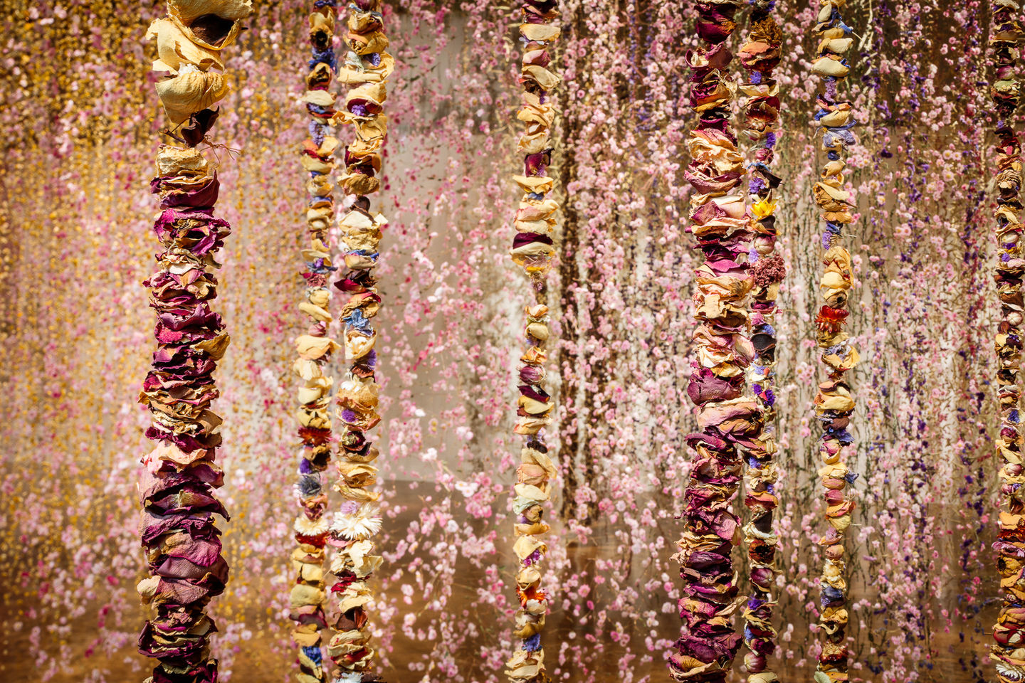 professional photo editing services, photographers near me product photography near me, compositing of imagery