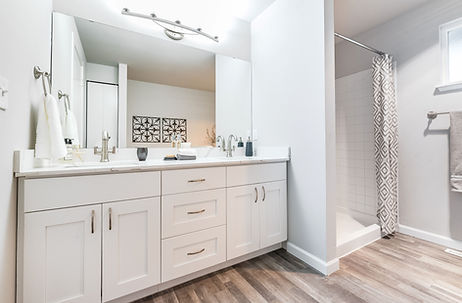 Senior-Focused Real Estate bathroom after