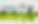 forest.png