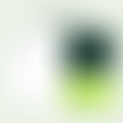 Proč je vizuální identita důležitá (a jak ovlivňuje váš web)