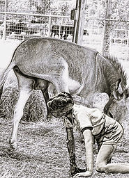 I am a Former Preferential female-roled zoosexual