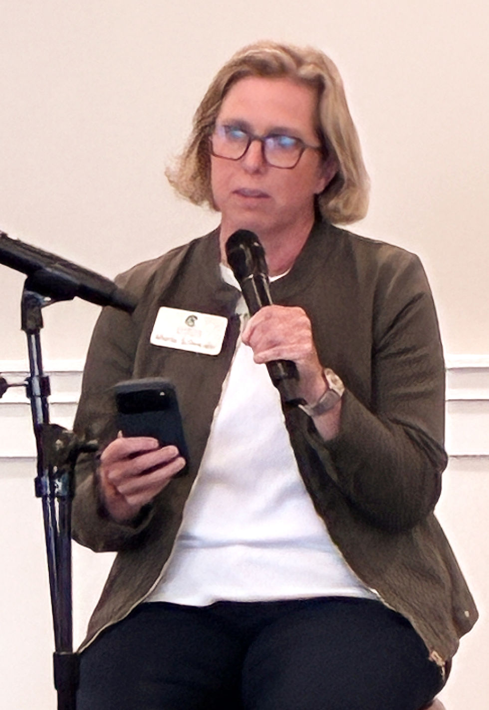 Marla Schneider, of Cornerstone Alliance, quoted stats from a recent Berrien County Housing study