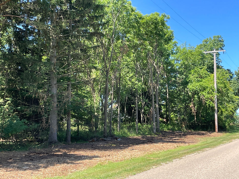 Trimming beneath the lines clears the right of way