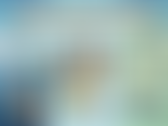 The Hidden Cost of Cheap Suppliers: A Case Study on Why Vendor Audits Save More Than They Cost