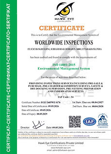 4176-WORLDWIDE_INSPECTIONS_14001 (1)_page-0001.jpg
