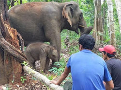 Mondulkiri
