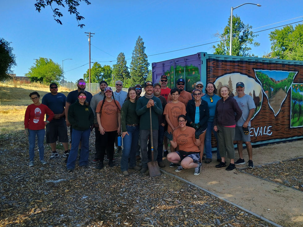 OV History Muesum Clean Up