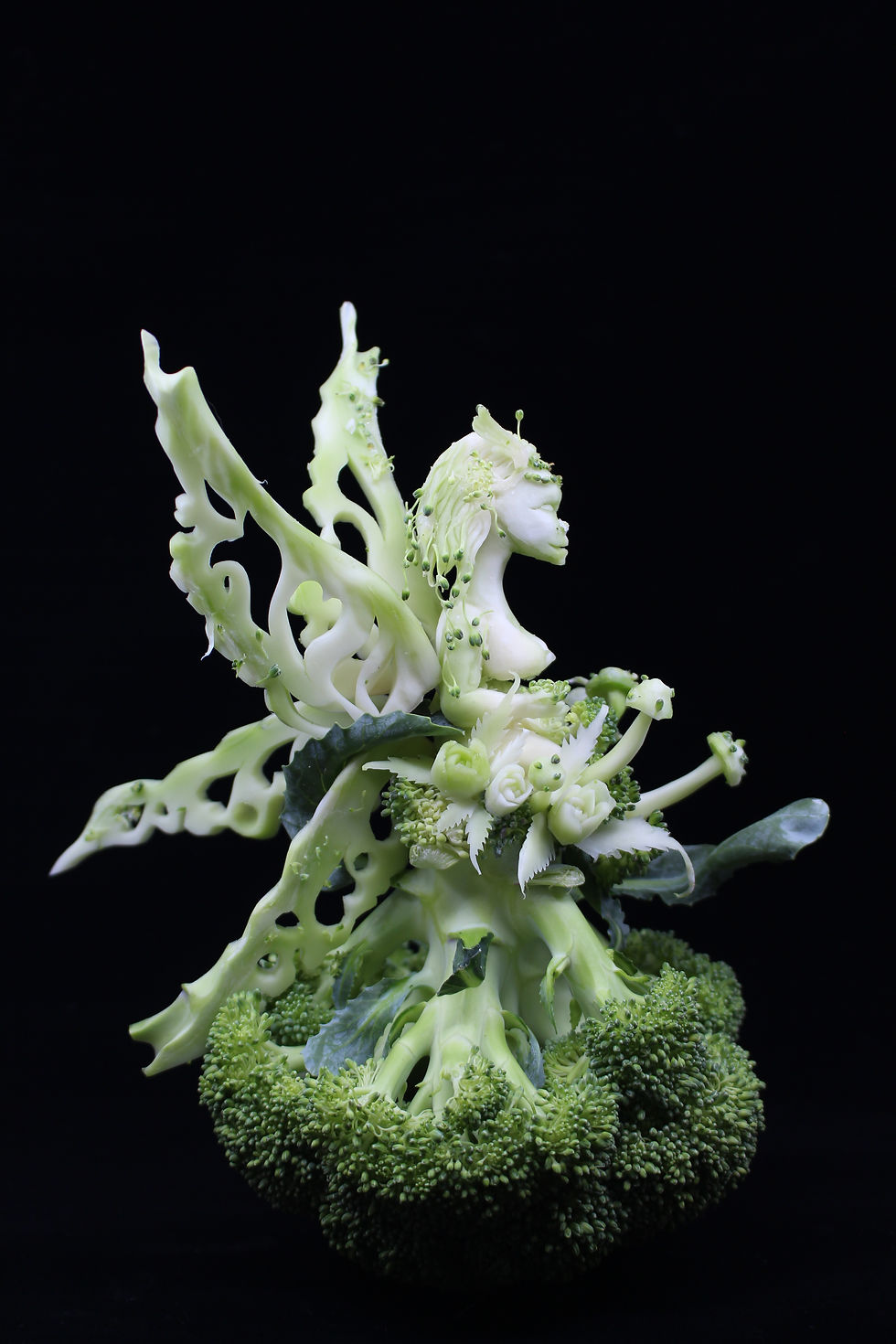 Thumbnail: Vegan fairy - Broccoli