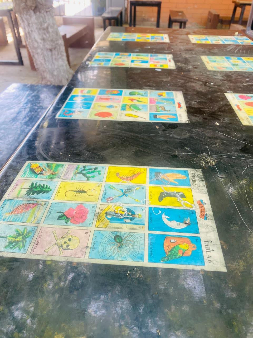 Figura 2. Tableros cubiertos con resina sobre una mesa