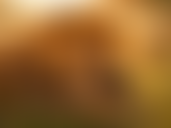 Desenredar la verdad en la era de la IA: el desafío de la alfabetización crítica