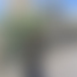 フロントエンジニア