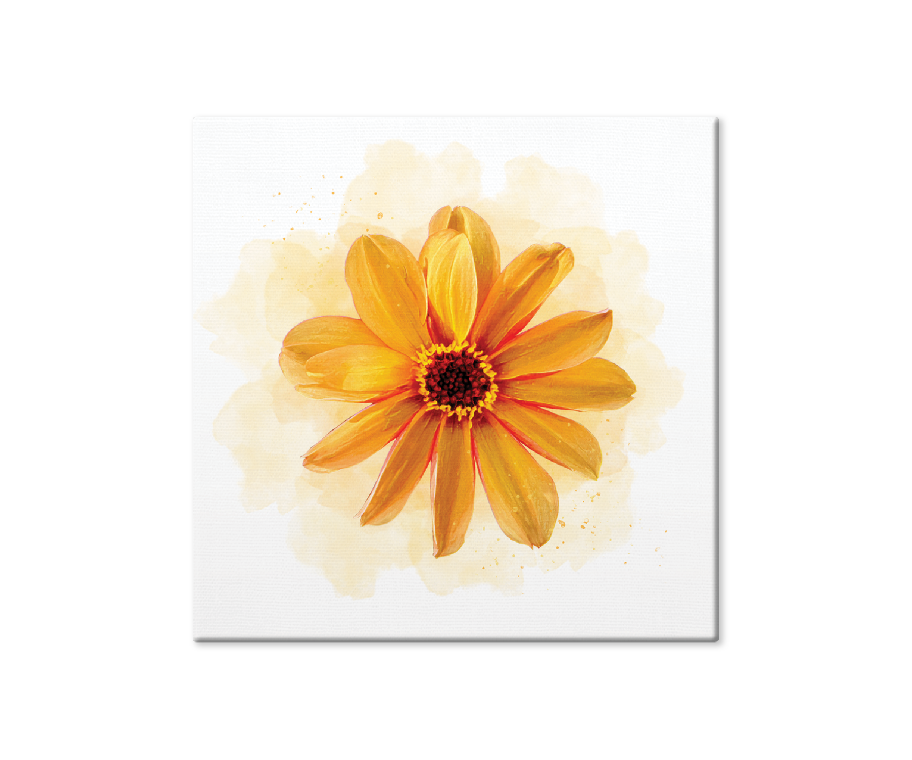 Daisy, Yellow, Orange, Flower, Wall Décor, Canvas Wrap Print