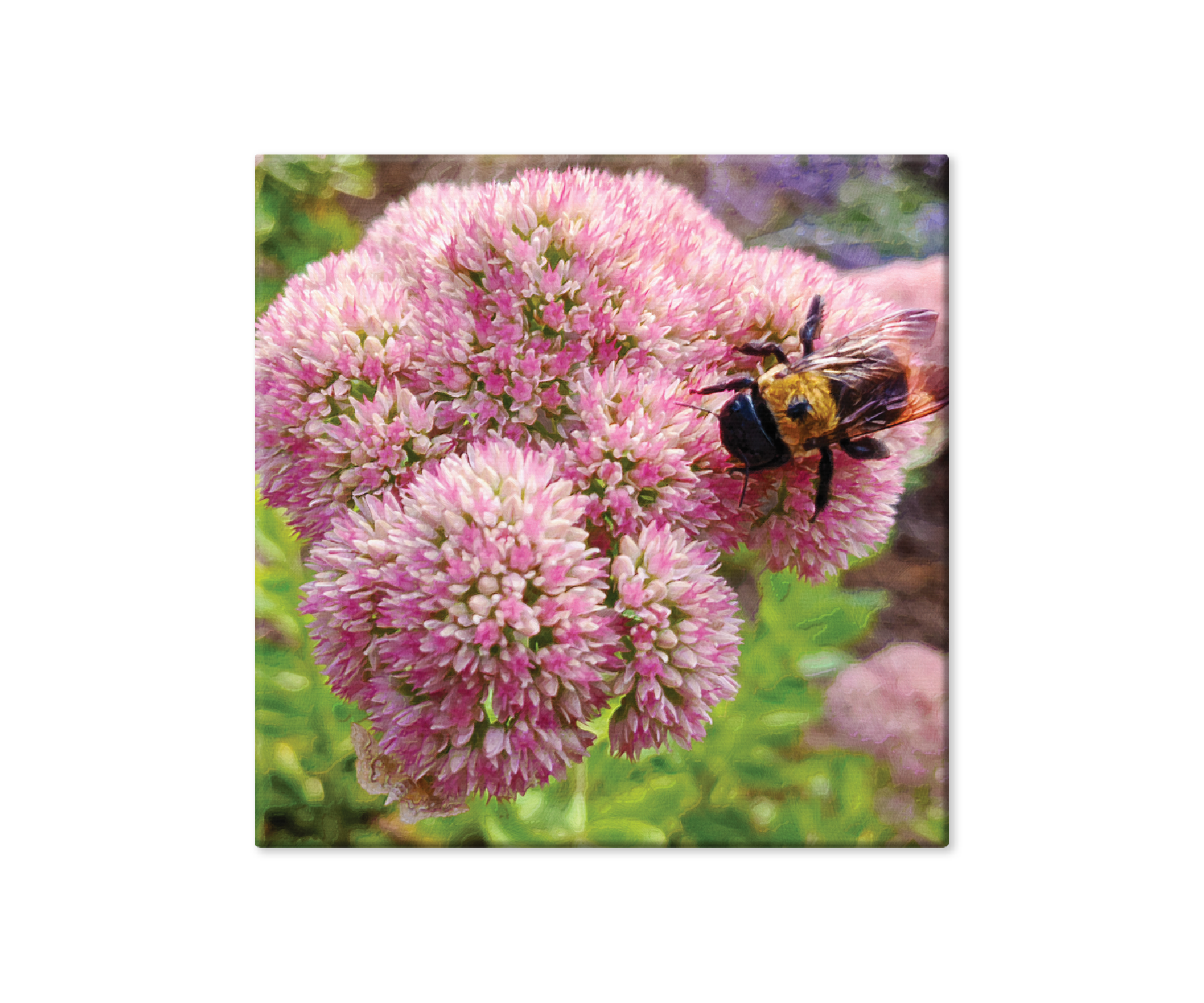 Bee, Autumn Joy, Wall Décor, Canvas Wrap Print