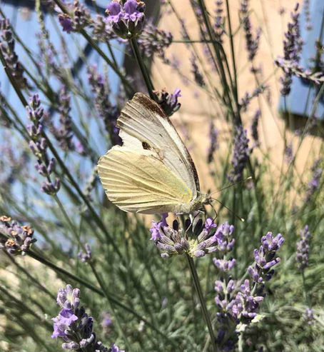 Small Actions, Big Changes