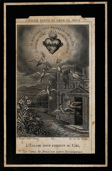 website image.jpg