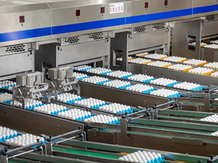 芬普尼毒蛋警訊：台灣蛋業永續韌性的科技突圍之路