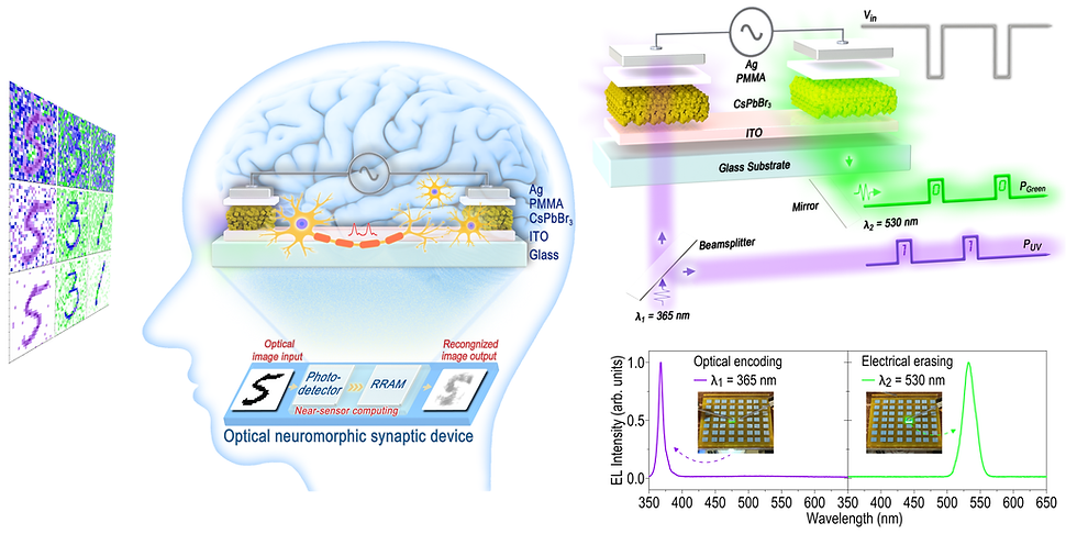 成大團隊研發出基於全無機鈣鈦礦量子點光學仿生神經形態突觸元件的結構,及其模擬人類視覺系統運作的示意圖(資料來源:成大新聞中心)