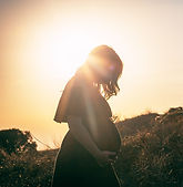 Fertility and hormone balancing protocol