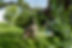 DSCF6187.jpg