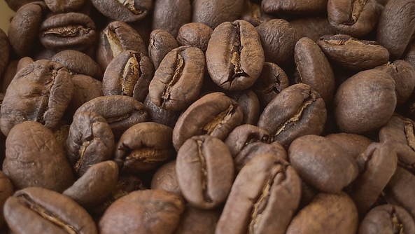 PORTADA FACEBOOK (5).png